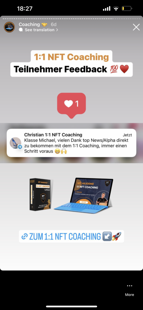 1:1 NFT Coaching Erfahrungen