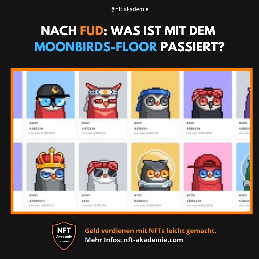 Read more about the article Nach FUD: Was ist mit dem Moonbirds-Floor passiert?